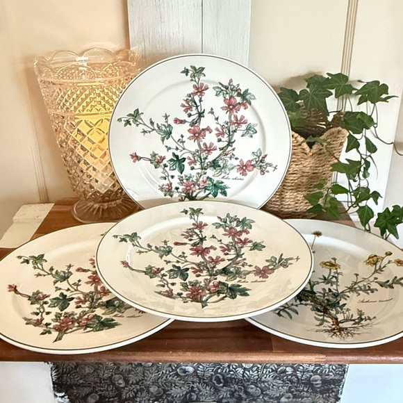 SET/4 Villeroy & Boch,”Botanica Collection”,10.5” Dinner Plates,Anthemis & Malva - Picture 3 of 15